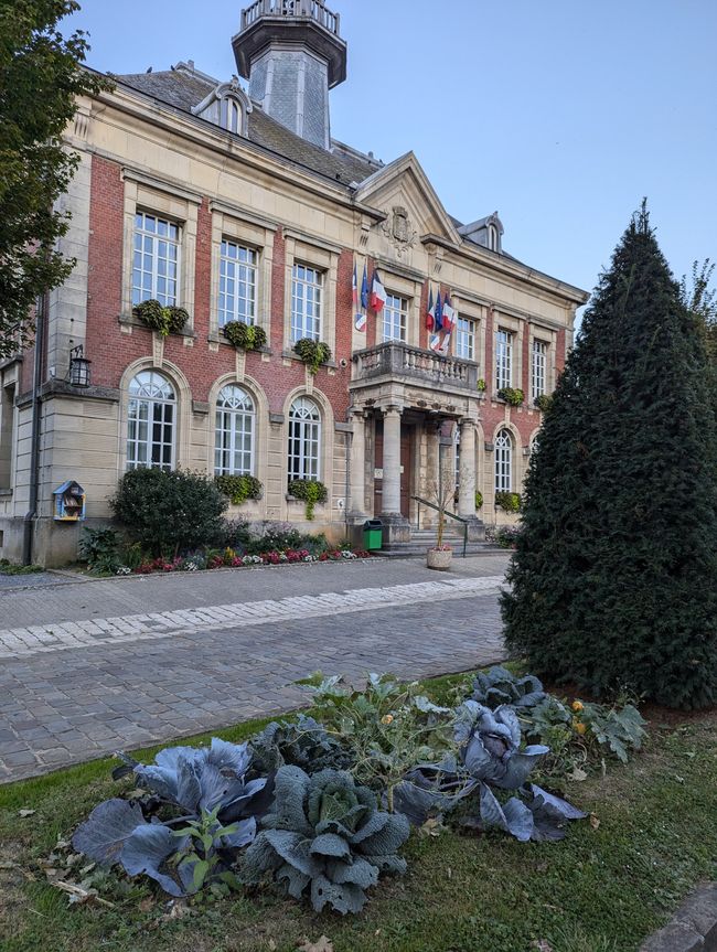 Red Cabbage in front of the Town Hall 