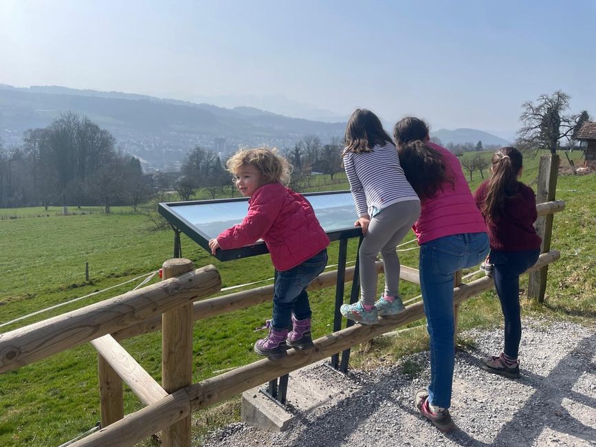 Visite du parc animalier