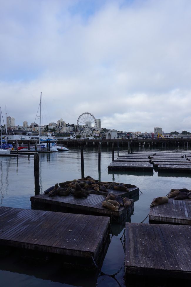 Tag 1 in San Francisco