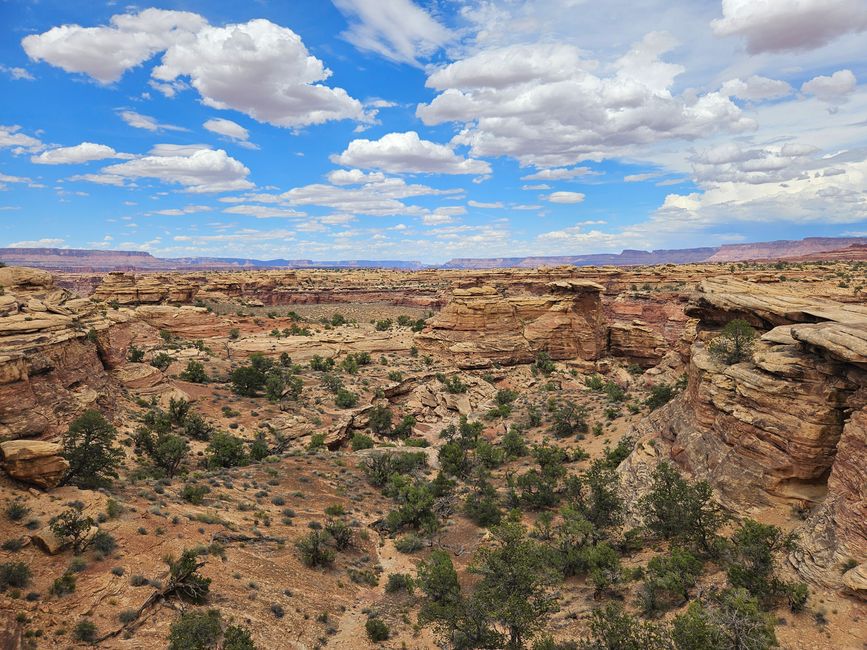 Canyonland 