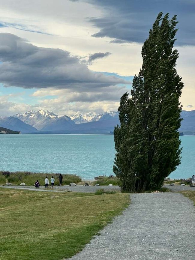 LAGO TEKAPO
