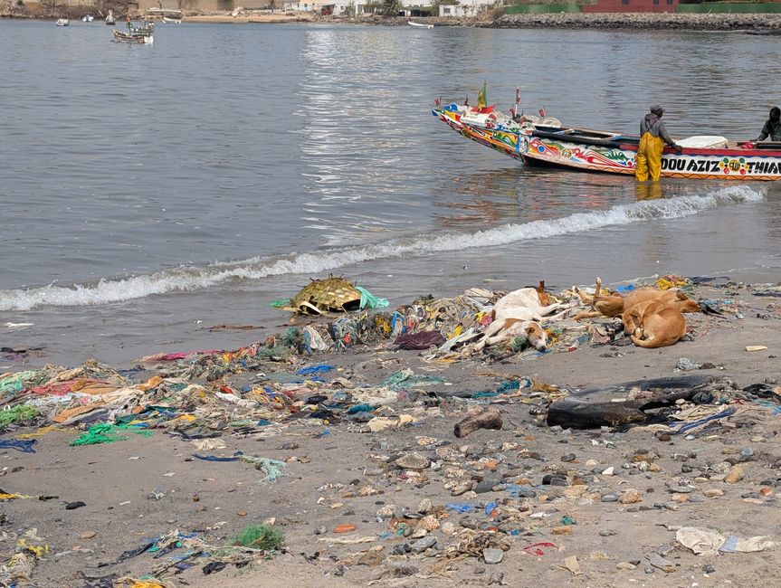 112.Tag 26.4.25 Dakar, Senegal