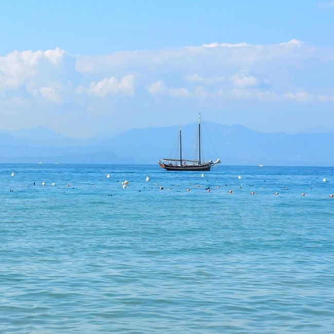 Lazise