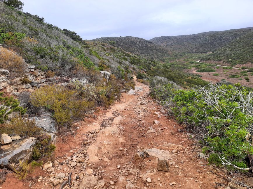 11th Stage: Against the Wind to Many Small Beaches