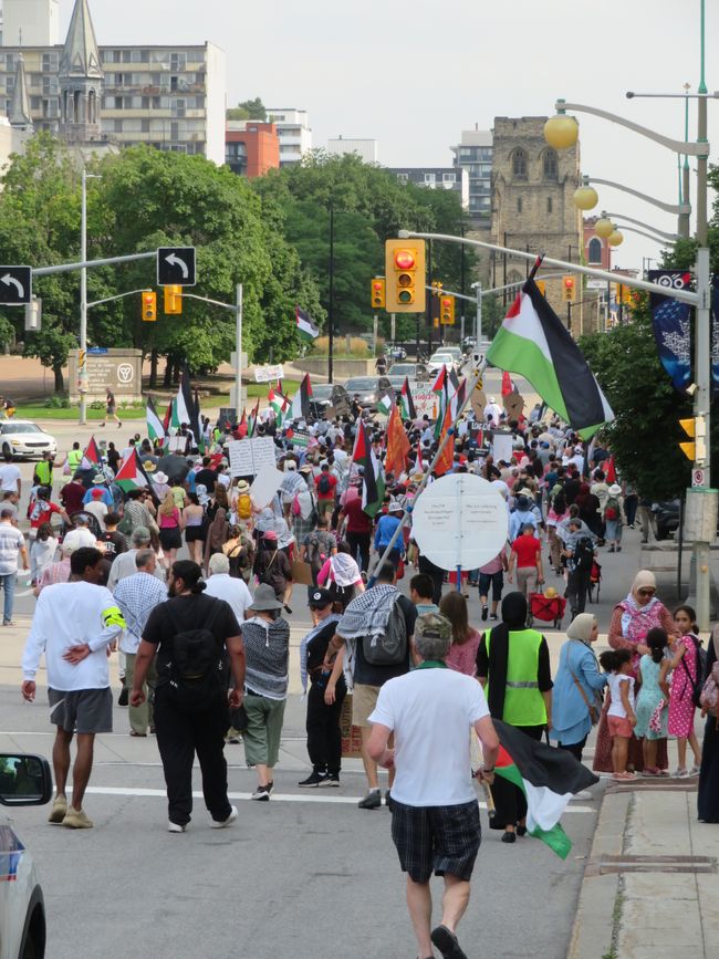 Daily Palestine demo