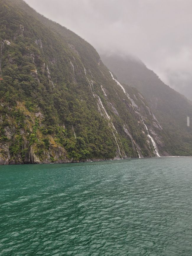 Tag 87 von 175: Kreuzfahrt rund um die Welt - Kreuzen im Milford Sound/Neuseeland