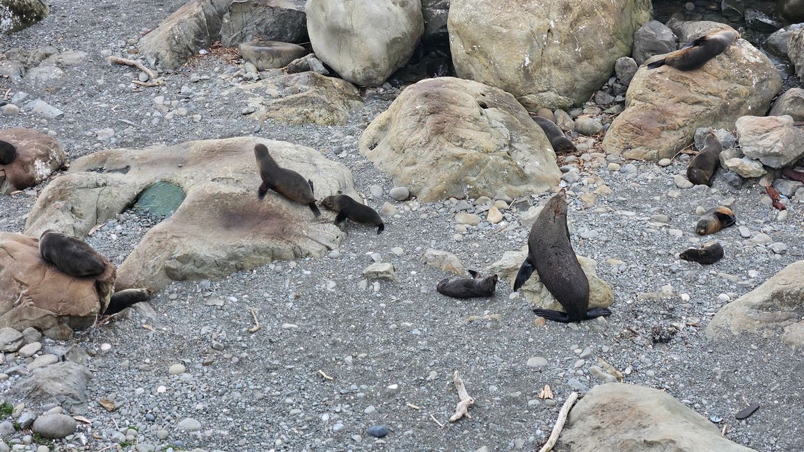 Christchurch - Ohau Point - Blenheim