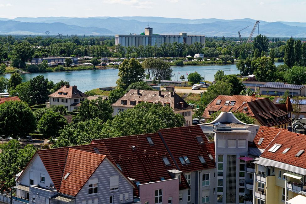 Blick zum Rhein