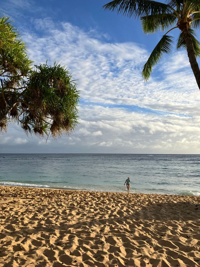 D18 - Yoga a las 7 am con Norbi y playa Poipu con focas monje, tortugas marinas y Humuhumunukunukuapua‘a