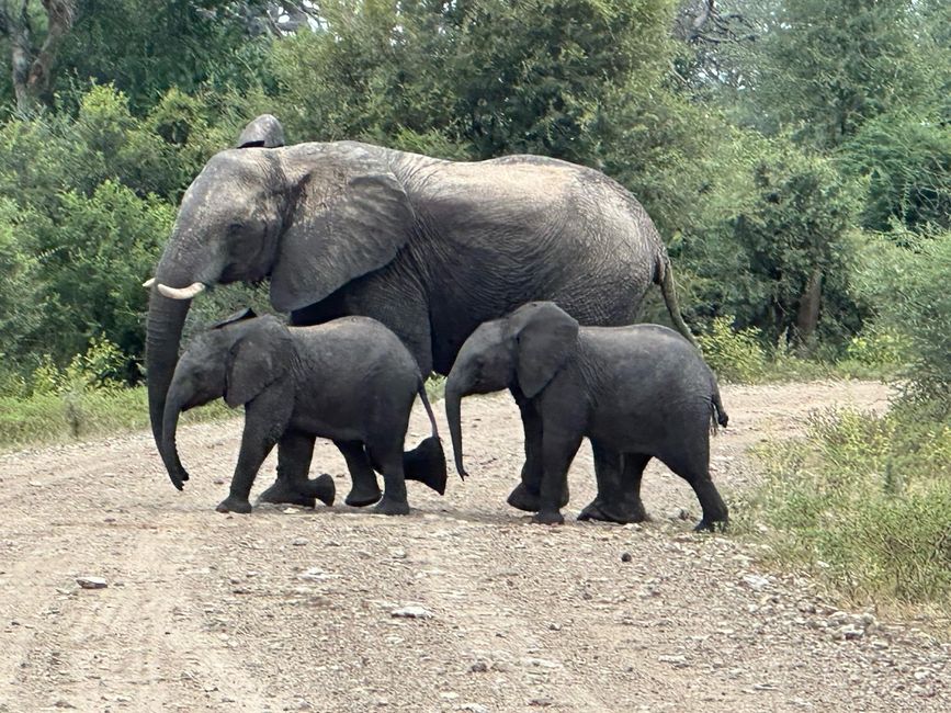 Unterwegs am Okavango 