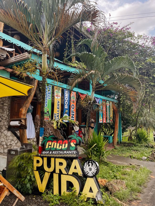 Puerto Viejo de Talamanca 🦥