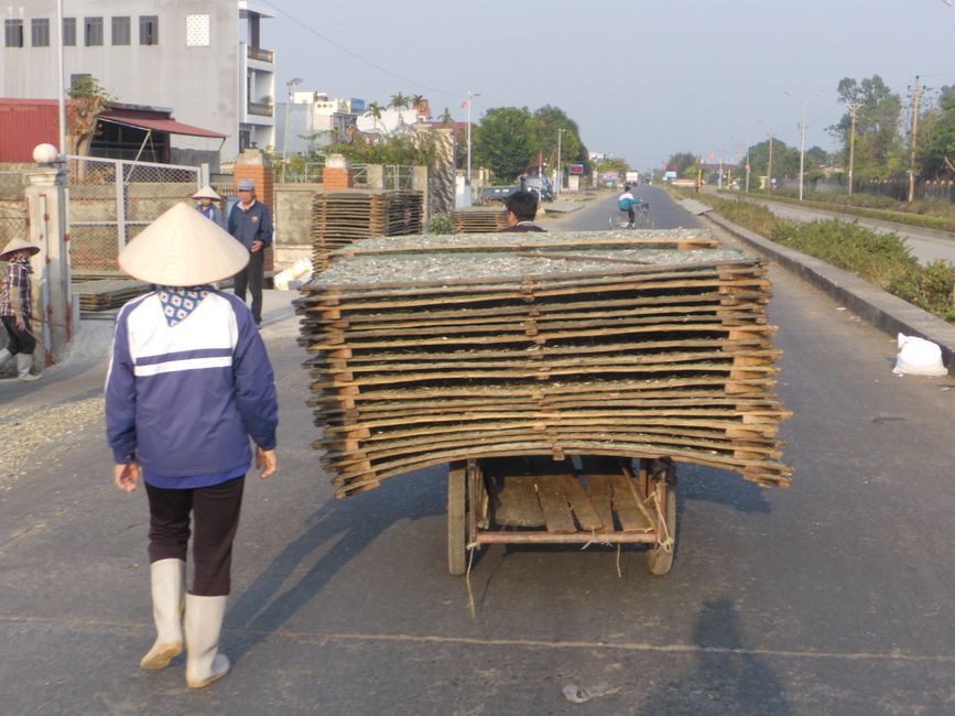 2025-01-05 Vietnam, Ninh Binh