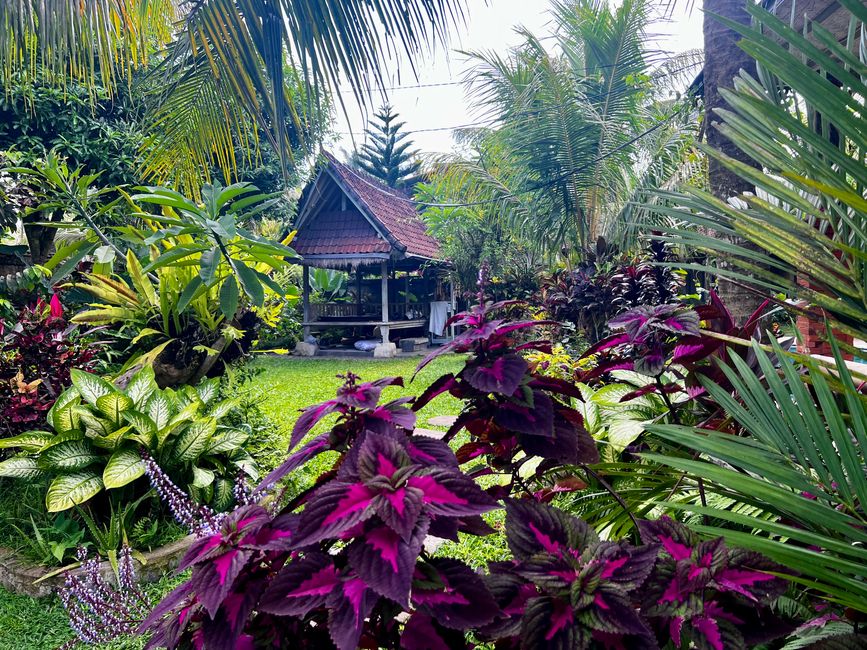 Tag 45 bis 49 - Ubud - das alte und spirituelle Zentrum Balis