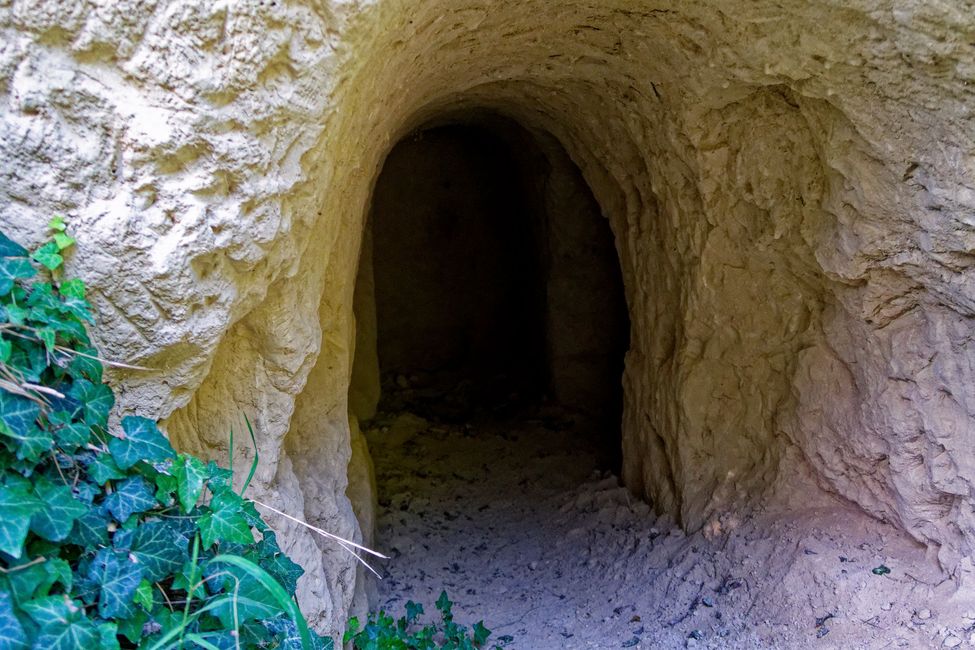 Escursione enogastronomica nonostante il caldo