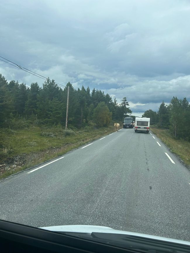 Tag 12 - von Bakka nach Vågåmo durch den Jotunheimen Nationalpark