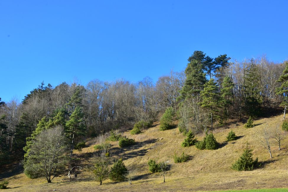 R E I T E R L E S   K A P E L L E - Wallfahrt, Legende und Wanderparadies