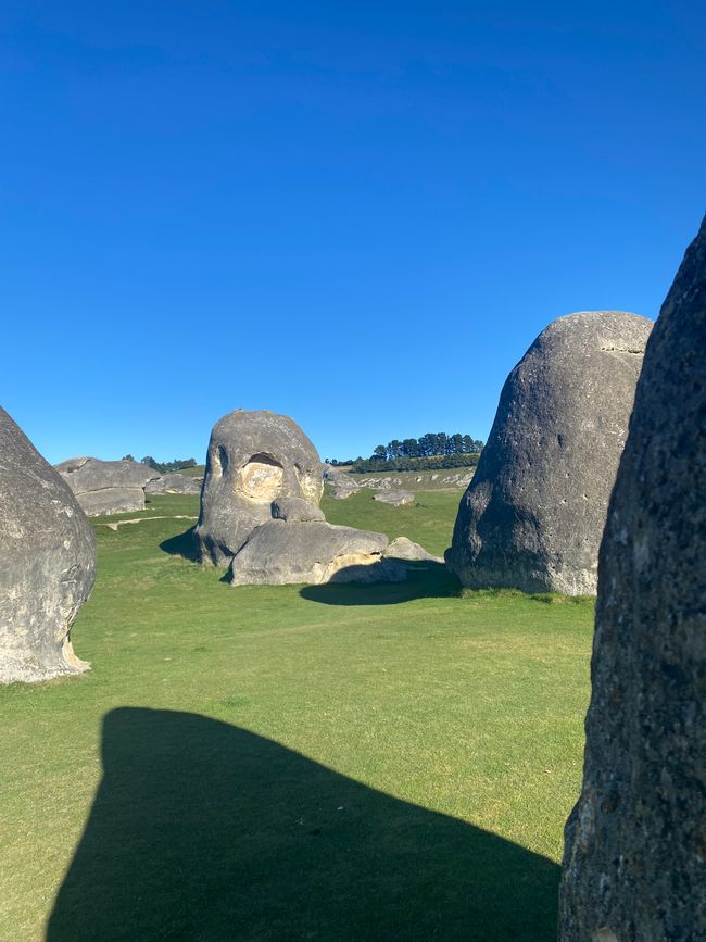 From Waimate to Twizel