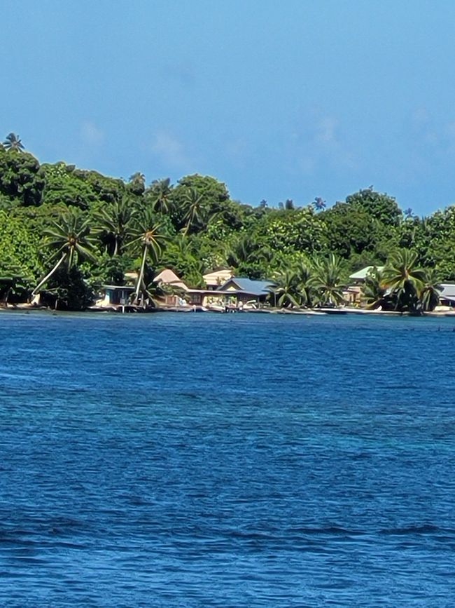 Día 67 de 175: Crucero alrededor del mundo - Moorea / Polinesia Francesa