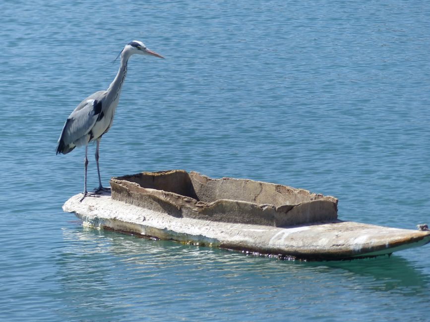 That used to be a surfboard - now with alternative uses