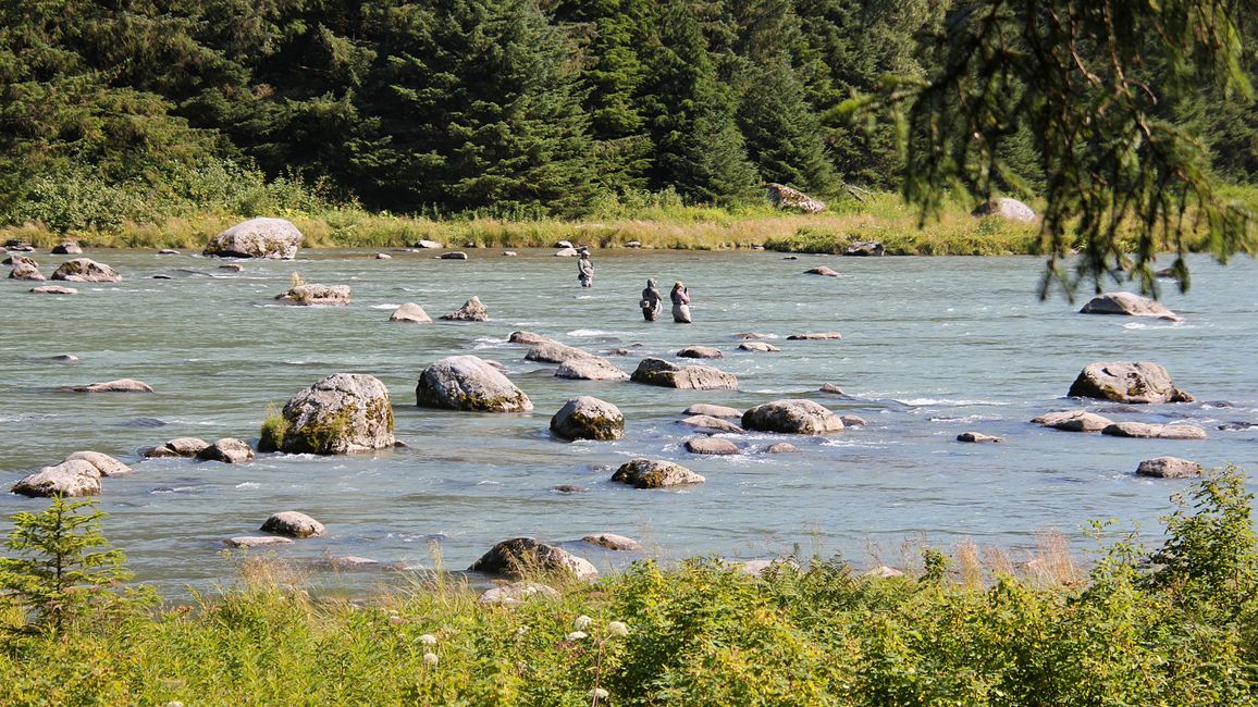 Day 25: Chilkoot Lake & more 'Bear' than we would like