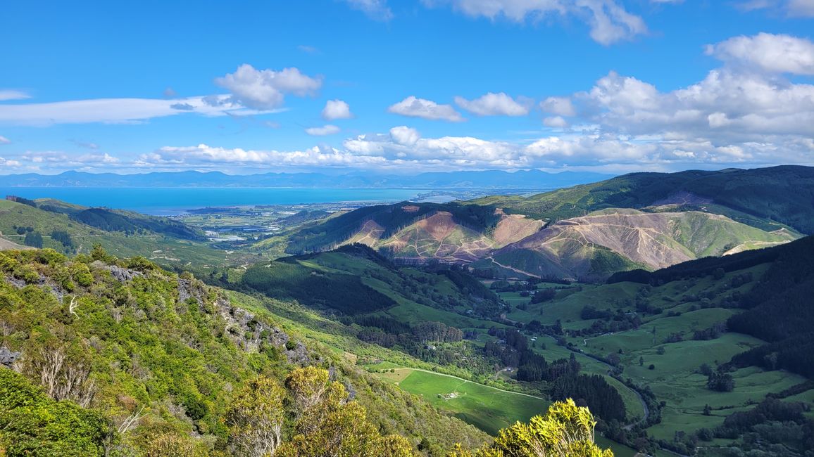 Von den Seehunden weiter in den Abel Tasman-Nationalpark