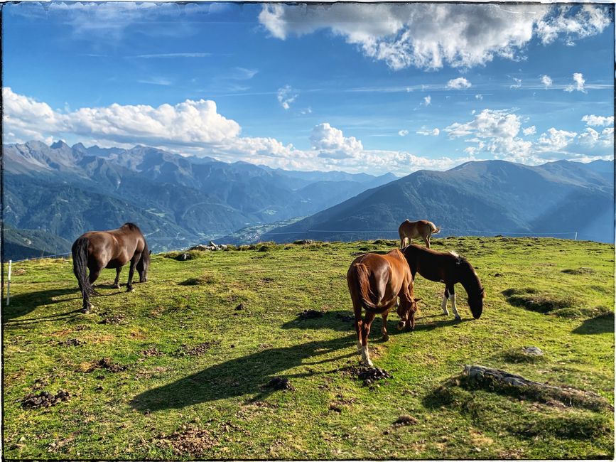 Mit meinem Bruder auf dem E5
Wanderung über die ALPEN