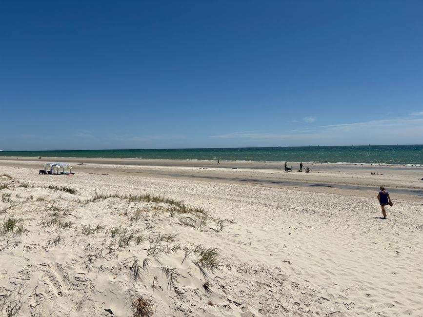 Wiedersehen in Adelaide, 11. und 12.01.25