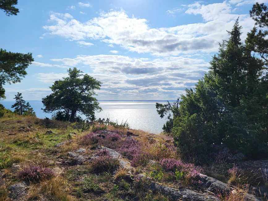 Bastoncini di zucchero, rovine di castelli e escursioni sul Lago Vätter - in viaggio nel sud della Svezia