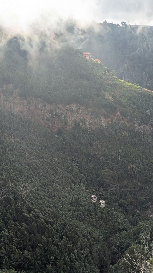 Blick auf die Seilbahn zum Botanischn Garten