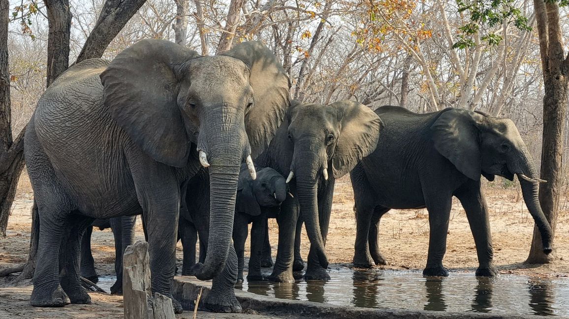 Simbabwe / Botswana 2024