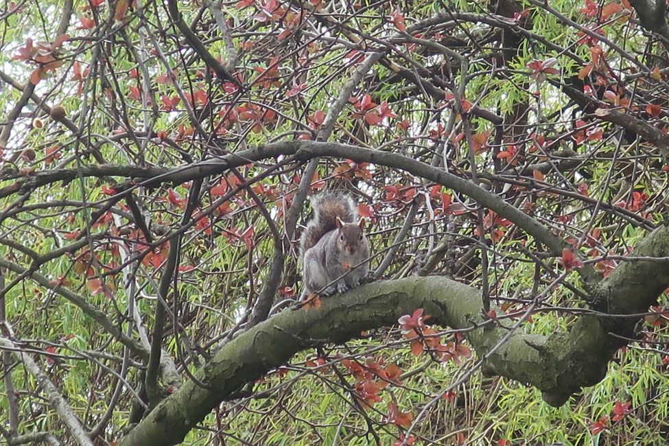 St. James Park