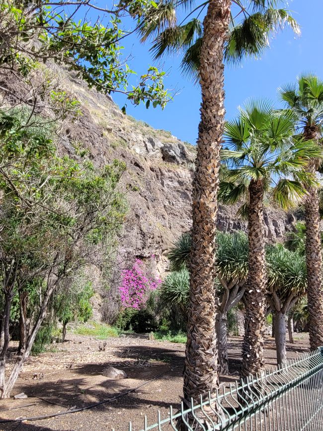 Day 164 (Part 2) of 175 planned days: Around the world cruise - Santa Cruz de Tenerife