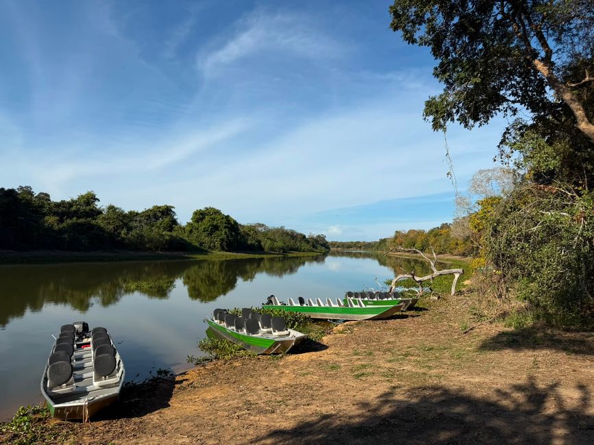 Excursión en barco en el Pantanal