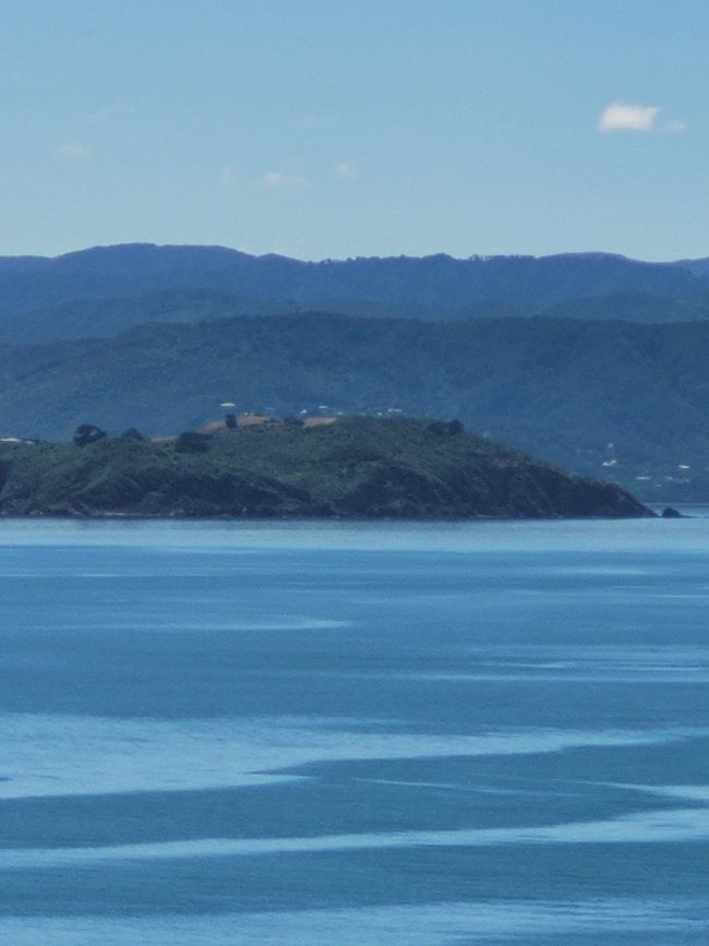 Jour 82 sur 175 : Croisière autour du monde - Wellington/Nouvelle-Zélande