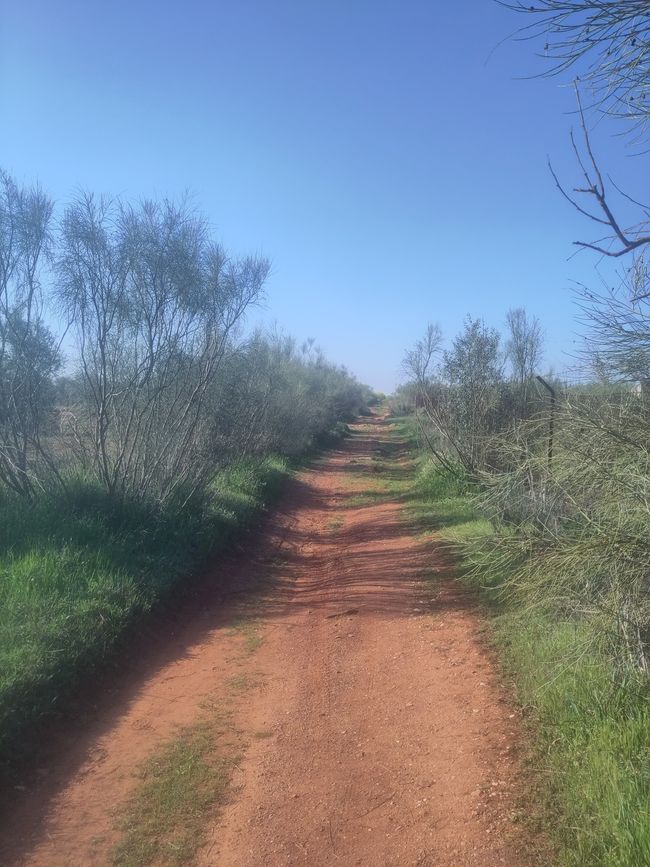 und immer weiter auf der Via de la Plata...