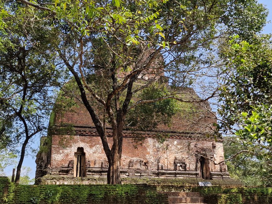 Polonnaruwa - 1000 años de historia y algo aprendido.