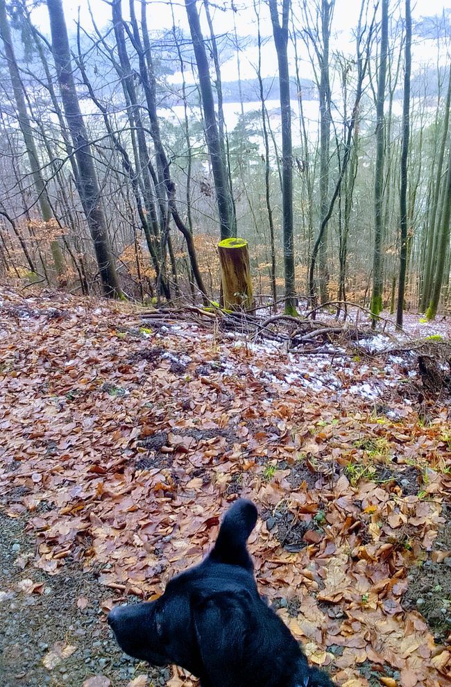 Willkommen im Friedhof der Identitäten- vom Ausblick auf Echtes statt alter Masken