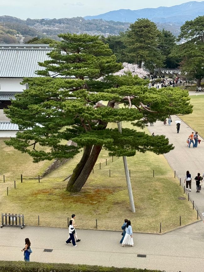 Part 8 Japan 🇯🇵 Kanazawa