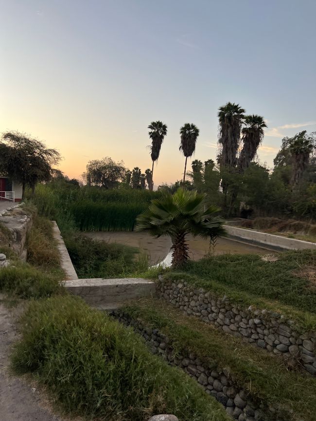 👷♂️Tag 30, 06.11.
Nazca: Gli acquedotti di Cantalloc