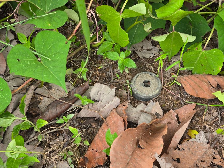 Aki Ra's Cambodia Landmine Museum
