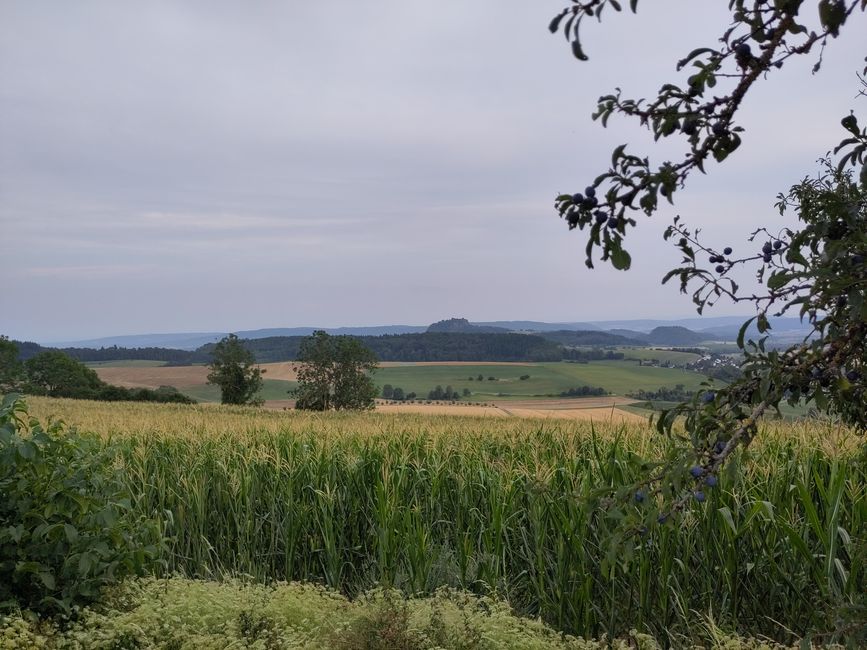 sommerlichen Süddeutschland - hier Hegau mit Blick auf den Hohentwiel