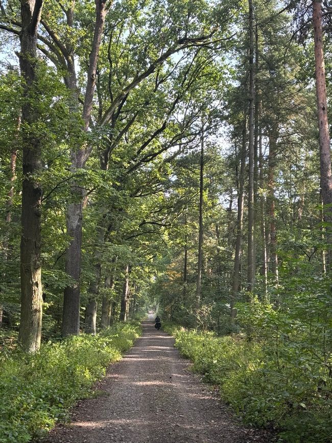 Von Dresden über Potsdam nach Berlin