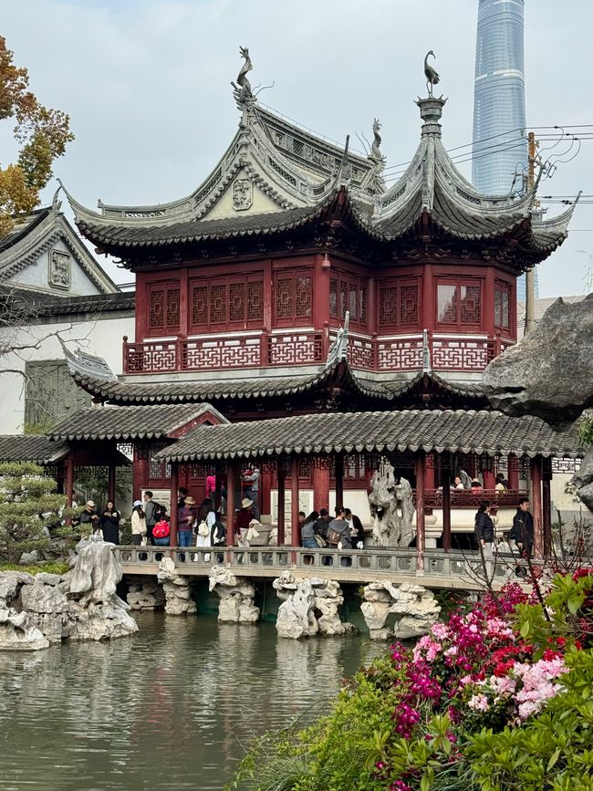 Part 5 SHANGHAI