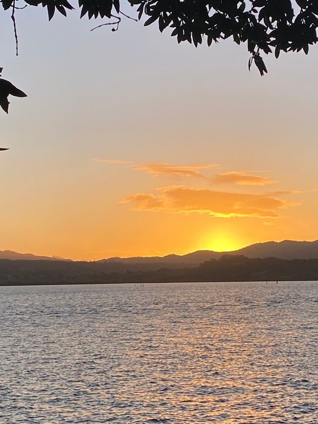 De whangarei à auckland