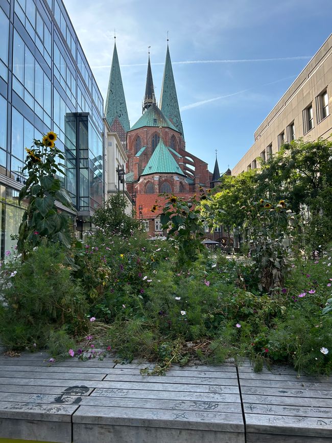 Sankt Pauli, äh ne Sankt Petri