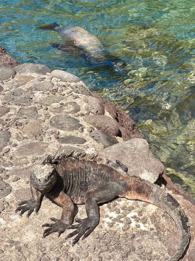 San Cristóbal (Galápagos)