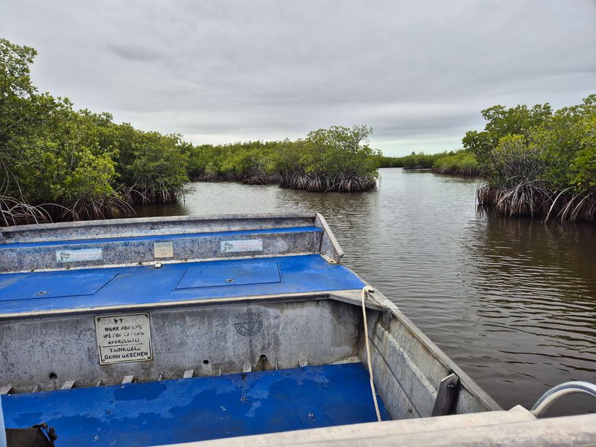 Tag 13: Everglades mit dem Airboat und dem Sunflower Boat