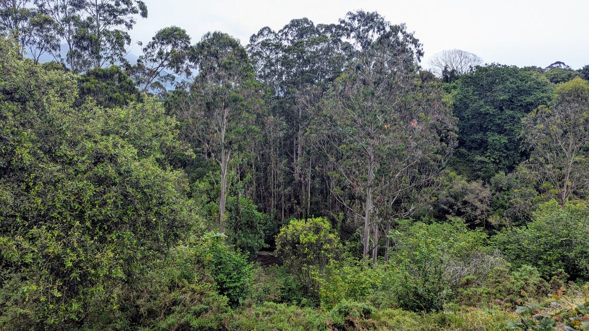 12. Etappe Camino del Norte von Pendueles nach Barro