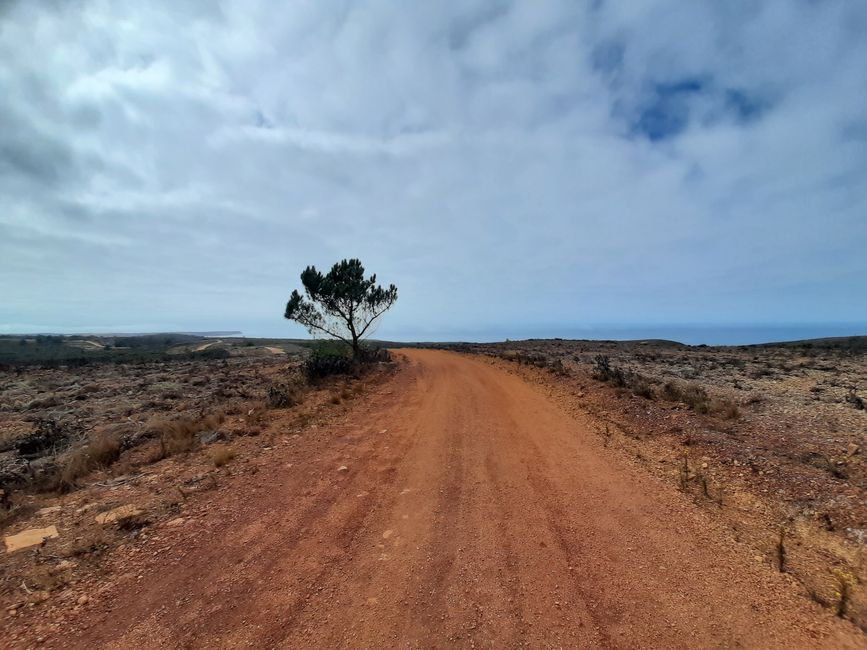 Etapa 8: vistas variadas