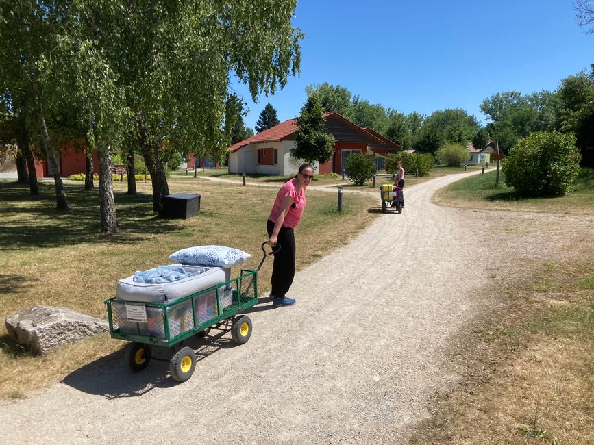 Transport des bagages à la maison